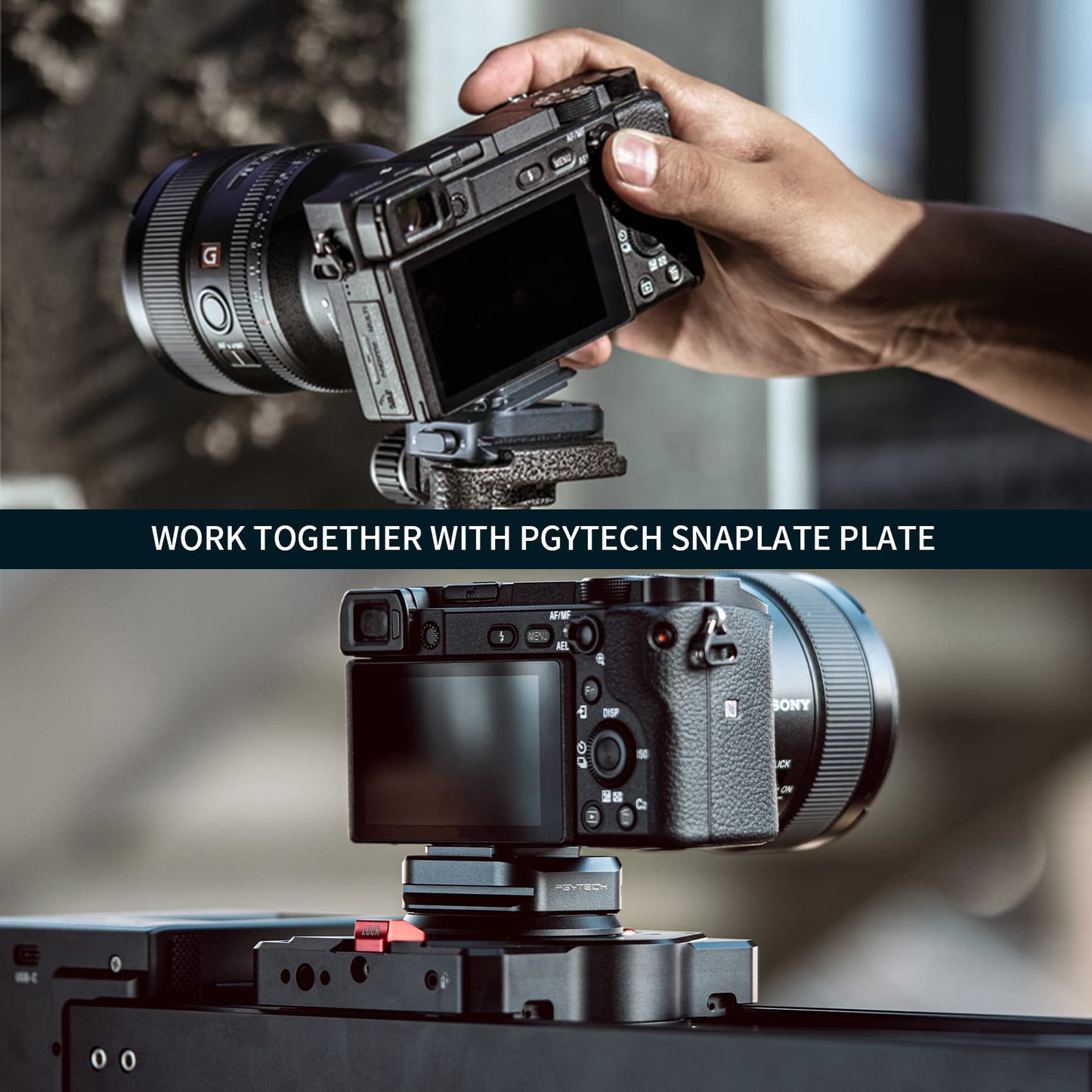 PGYTECH Bettle Kameraclip, Kamera Rucksack Clip am Schulterriemen oder Gürtel, zum Tragen für DSLR, Plattenkamera-Schnellwechselsystem für Sony, Nikon, Fuji Rucksack-Kameragurthalterung