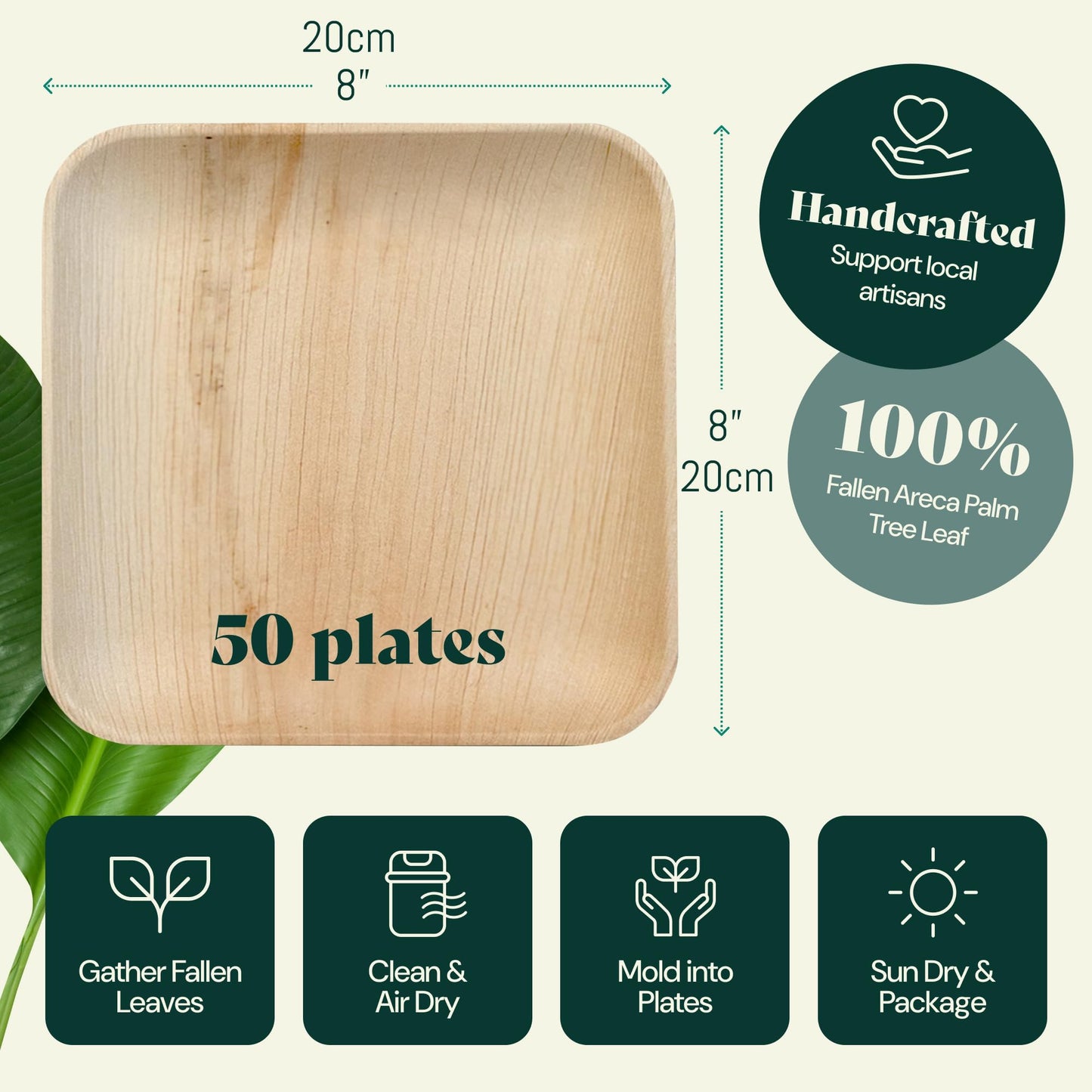 Chic Leaf Palmblatt Teller - 48 Stück Partyteller Set, Umweltfreundlich, Kompostierbar, Nachhaltig Einweggeschirr besser als Pappteller & Plastikteller, Eckig (25.5 & 18 cm)