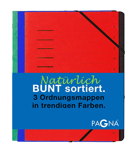 Pagna Ordnungsmappenset 12 Fächer Basic sortiert, Set mit 3 Stück, rot, blau, grün