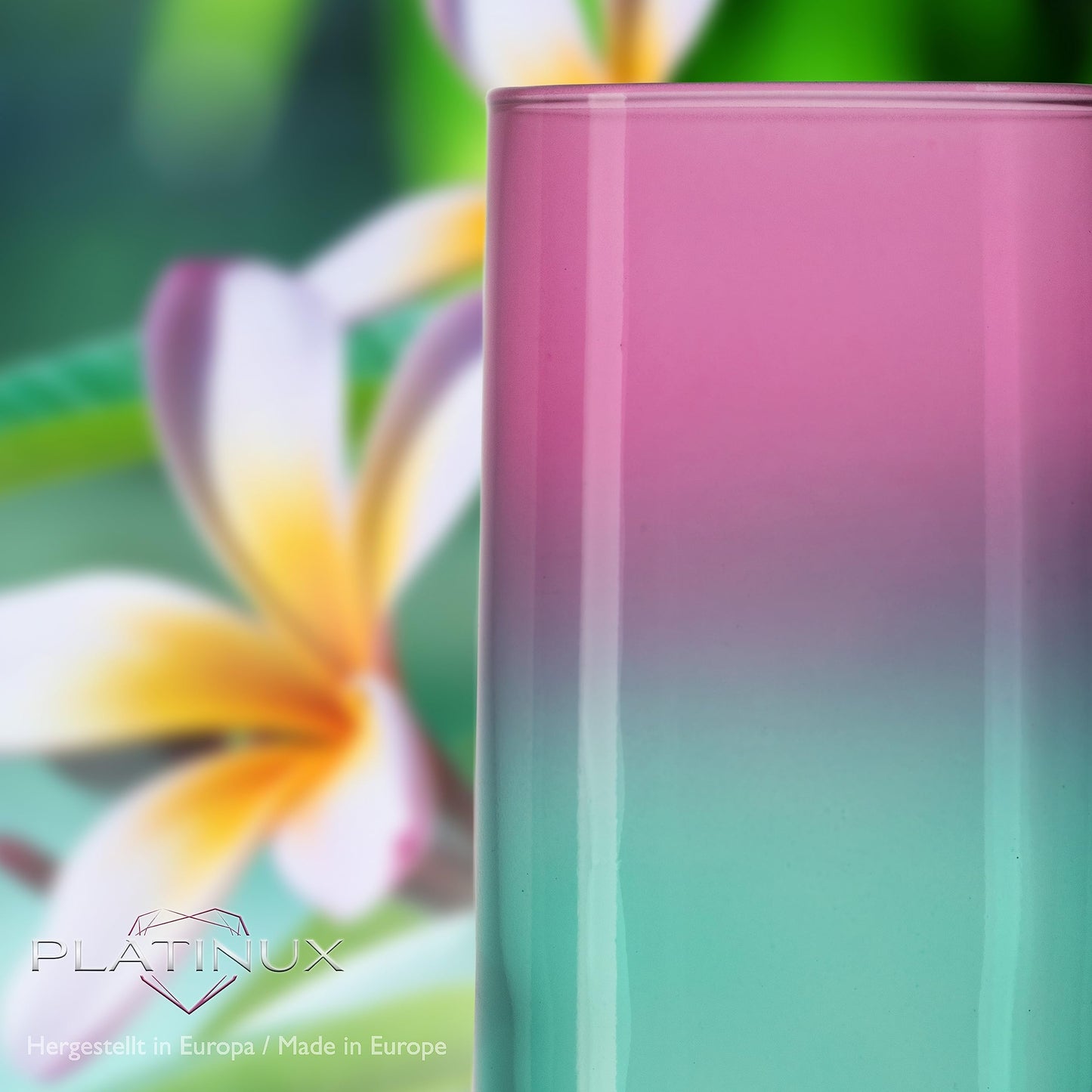PLATINUX Trinkgläser Rosa-Türkis aus Glas Bunt 360ml (max. 440ml) Set 6 Stück Wassergläser Saftgläser Longdrinkgläser