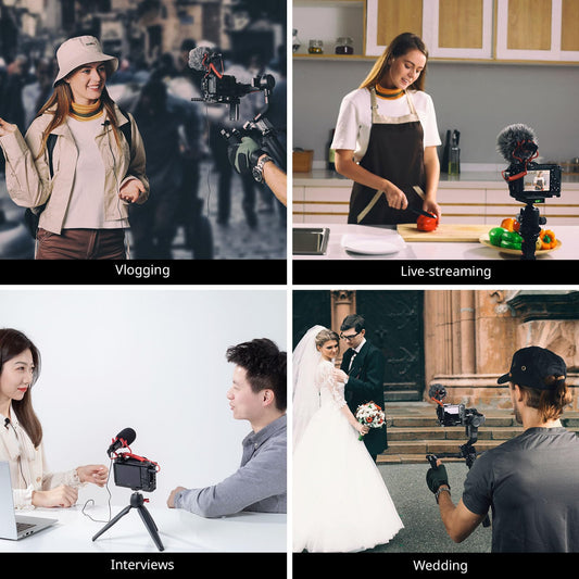 SMALLRIG Videomikrofon, Dual Input Videomic, mit Stoßdämpfung Shock Mount, 3.5mm TRS/TRRS Richtmikrofon mit Windschutz für DSLR Kameras und Smartphone Forevala S20-3468