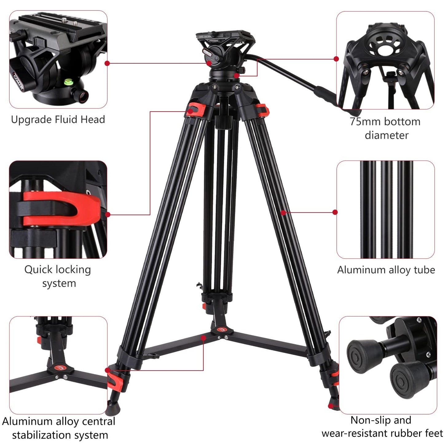 COMAN 188cm Kamera Stativ Robustes Professionelles Fotokamera Videostativ 360° Kugelkopf und 1/4'' Gewinde tragendes Gewicht 8kg Tragetasche Inklusive Schnellwechselplatte,tripod stative kamerastativ