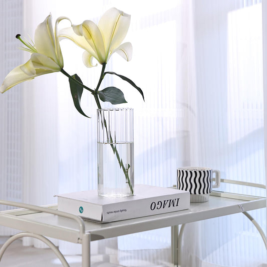 ComSaf Kleine Vasen Deko für Tischdeko, Modern Blumenvase Glas, Mini Vase Tulpen Set, Glasvase Zylinder Rund Gross, Tulpenvase für Tulpen, Pampasgras, Orchideen, Rosen, 20 cm Hoch, Transparent