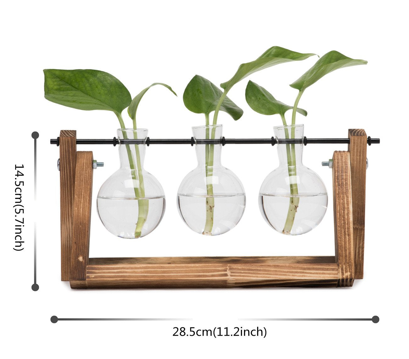 Hyindoor Propagation Station Vermehrungsstation für Pflanzen Hydroponik Blumenvase Glasvase Mit Holzständer Vintage Dekovase Tischvase für Hause Büro Wohnzimmer, 3 Glühbirnen