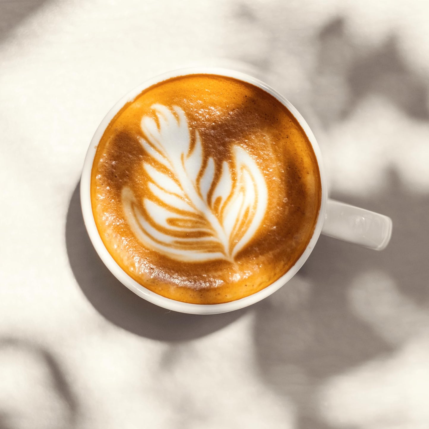 Melitta Barista Classic Espresso, Ganze Kaffee-Bohnen 1kg, ungemahlen, Kaffeebohnen für Kaffee-Vollautomat, kräftige Röstung, Stärke 5