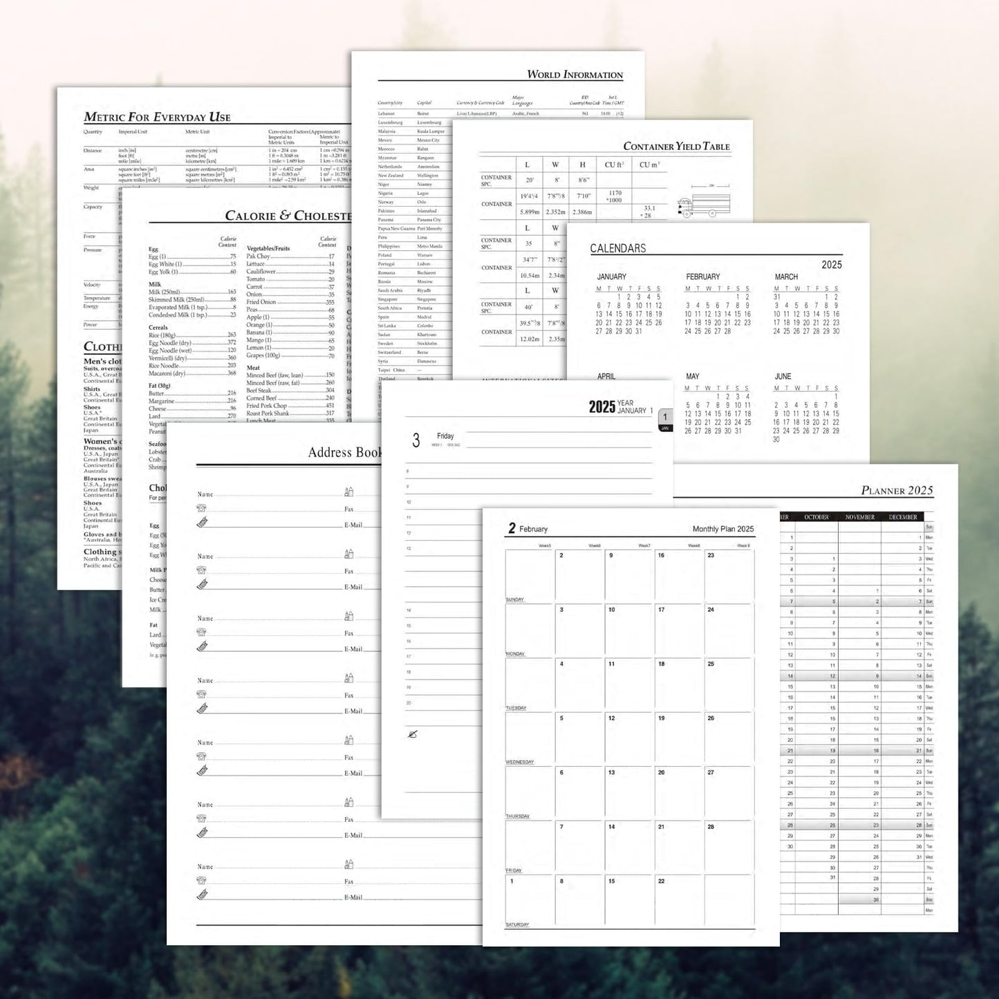 Akademischer Kalender 2025, Terminkalender 2025, Tag pro Seite, Hardcover organisiert von Januar 2025 bis Dezember 2025, Agenda A5 Tagesplaner mit Monatstabs, Innentasche, Stift (schwarz)