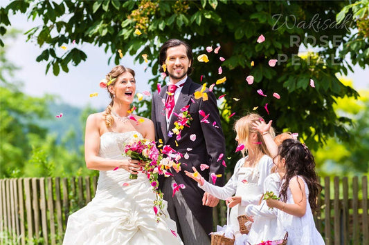 (Getrennt, Desodoriert) Künstliche gefälschte Rosenblätter für Romantische Nacht, Hochzeit, Event, Party, Dekoration, in Loser Schüttung (1000 Stücke, Allmählicher Blau)