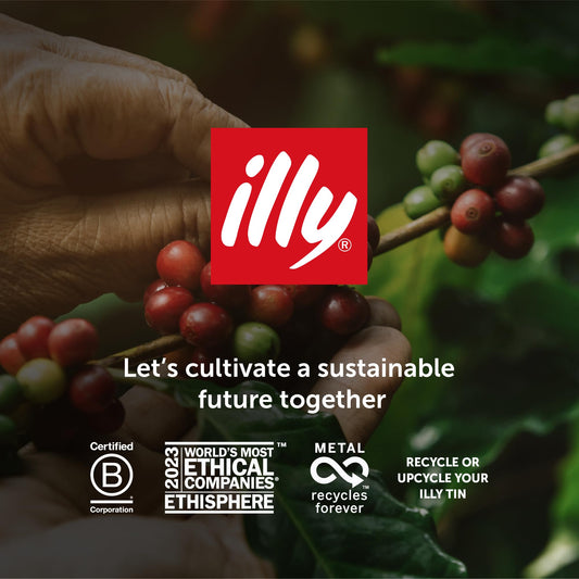 illy Kaffee, Classico Gemahlener Kaffee, mittlere Röstung, 100% Arabica-Kaffeebohnen, 250 g