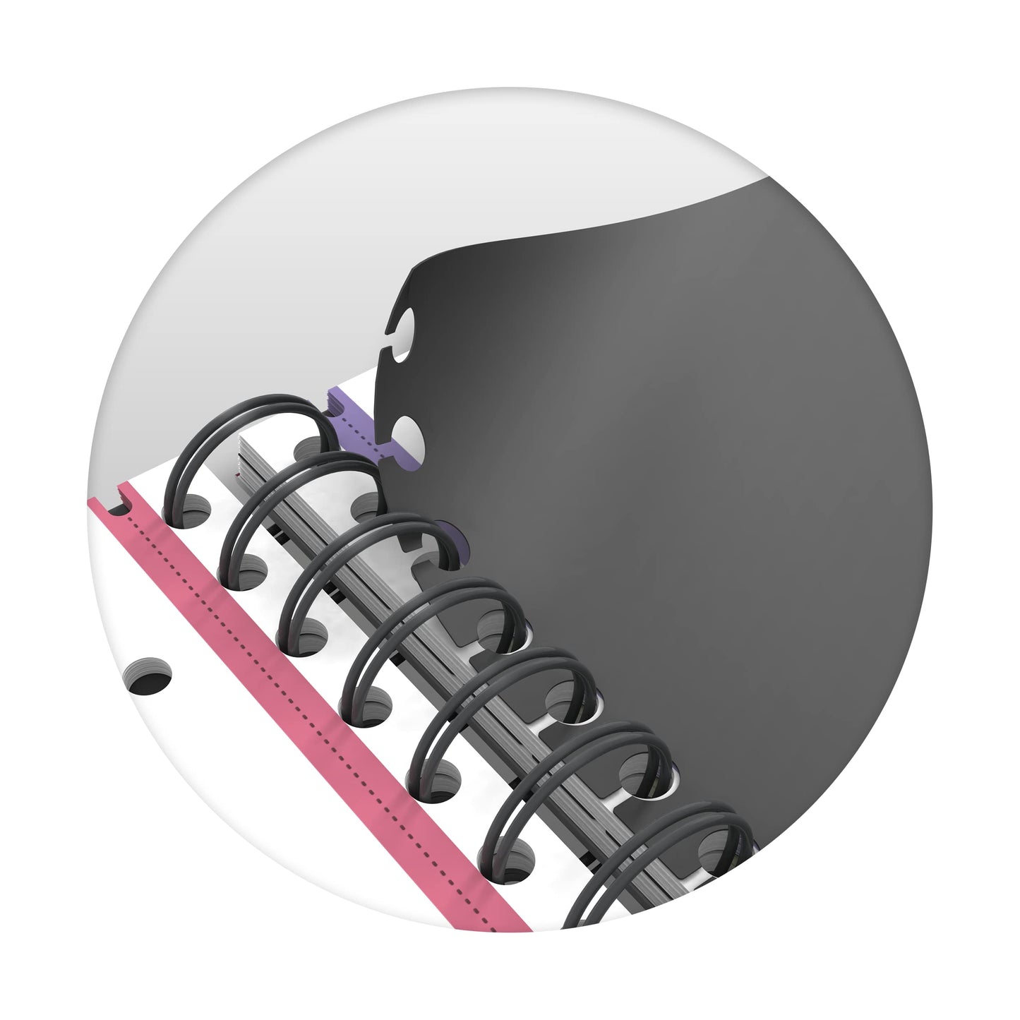 Oxford Collegeblock A4, liniert, 240 Seiten, European Book, 3 Register, 4 Farben, 5 Stück