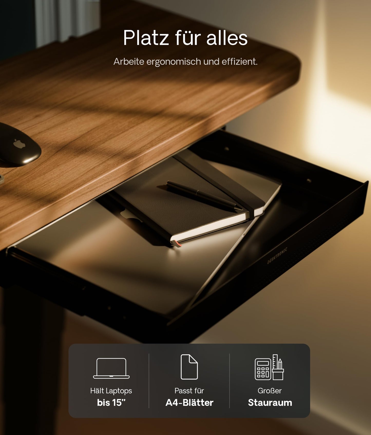 Desktronic Schreibtisch-Organizer, Untertisch-Aufbewahrungsbox, Schreibtisch für Büro Schule Homeoffice Schreibwaren, Metallschublade, Versteckte Schubladenbox (Schwarz)