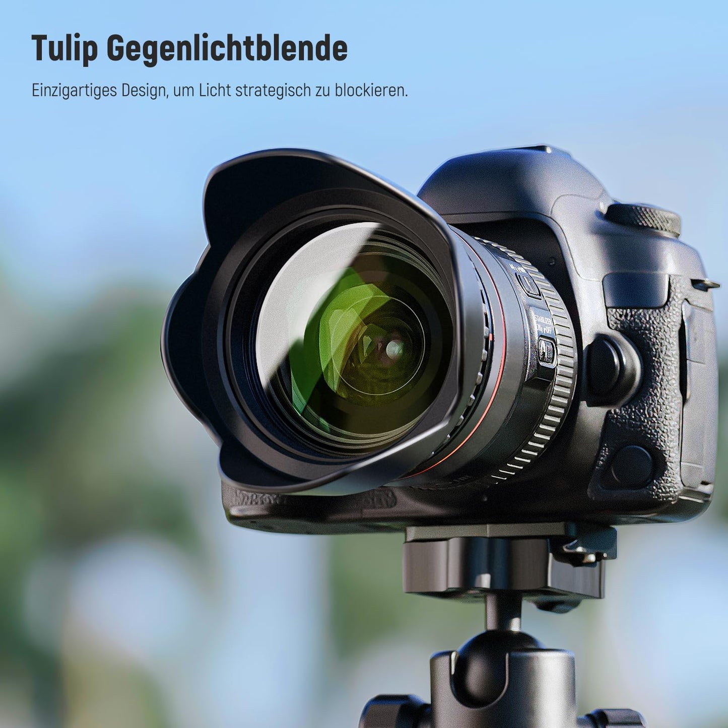 NEEWER 58mm Objektiv Filter Set: UV, CPL, FLD, ND2, ND4, ND8, Gegenlichtblende und Objektivdeckel Kompatibel mit Canon Nikon Sony Panasonic DSLR Kameras mit 58mm Objektiv