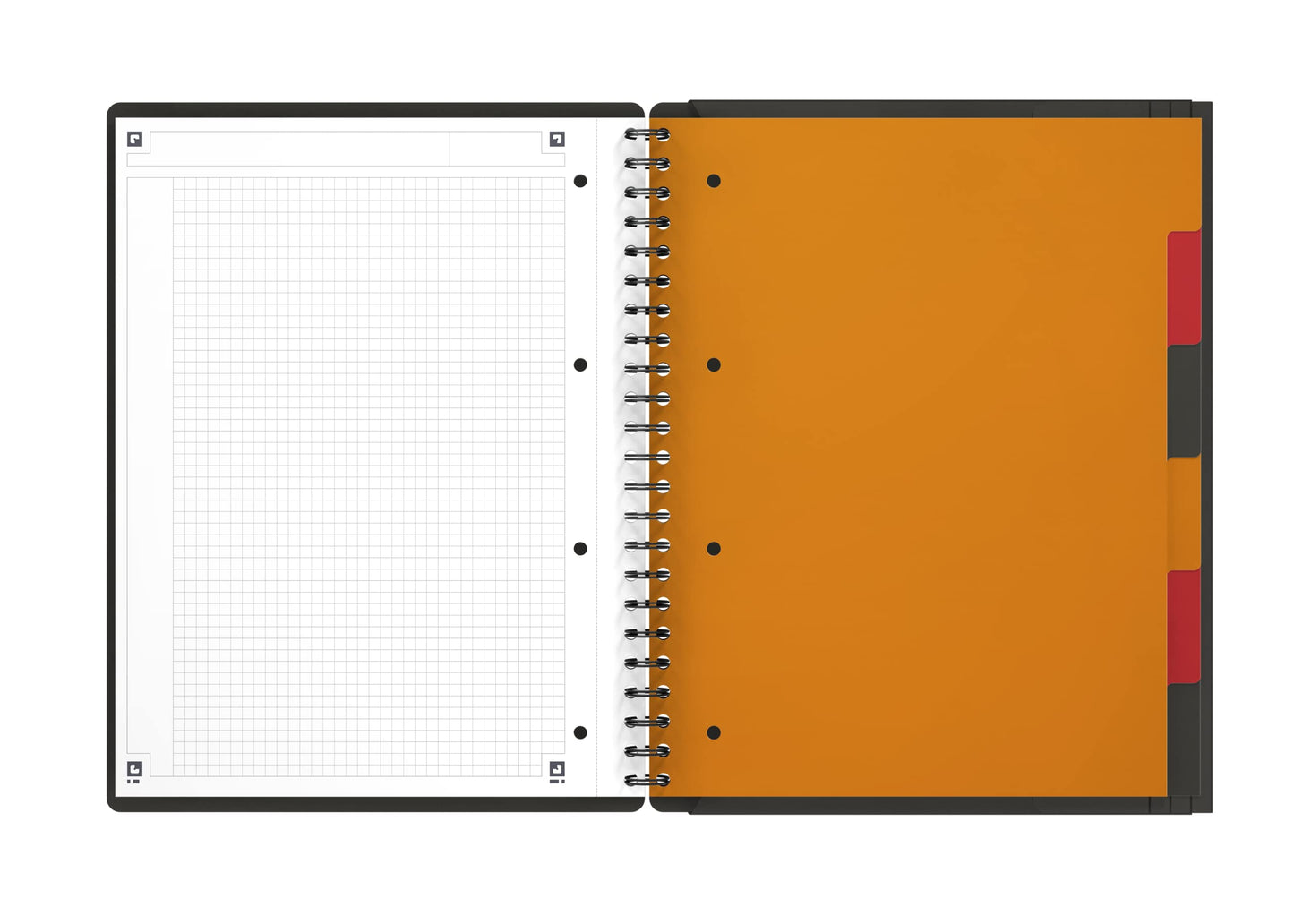 Oxford Organiserbook International A4, kariert, 160 Seiten, Gummizugmappe mit 6 festen Registern