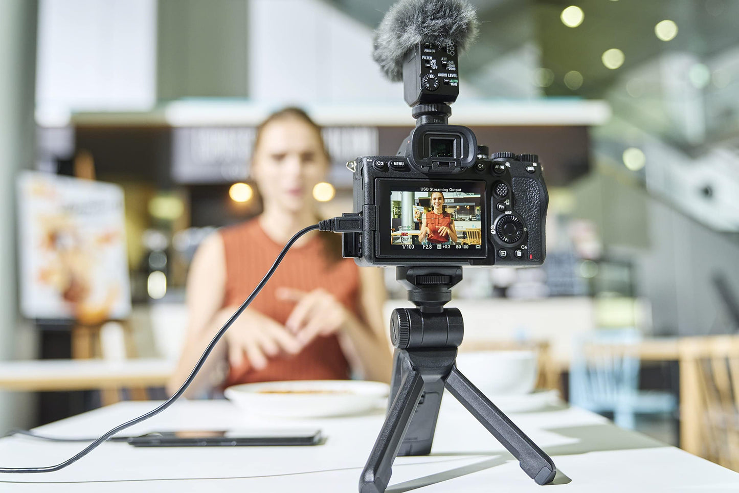 Sony Alpha 7 IV | Spiegellose Vollformatkamera für Experten (33 Megapixel, Echtzeitfokus, Burst mit 10 Bildern pro Sekunde, 4K 60p-Video, einstellbarer Voll-Touchscreen)