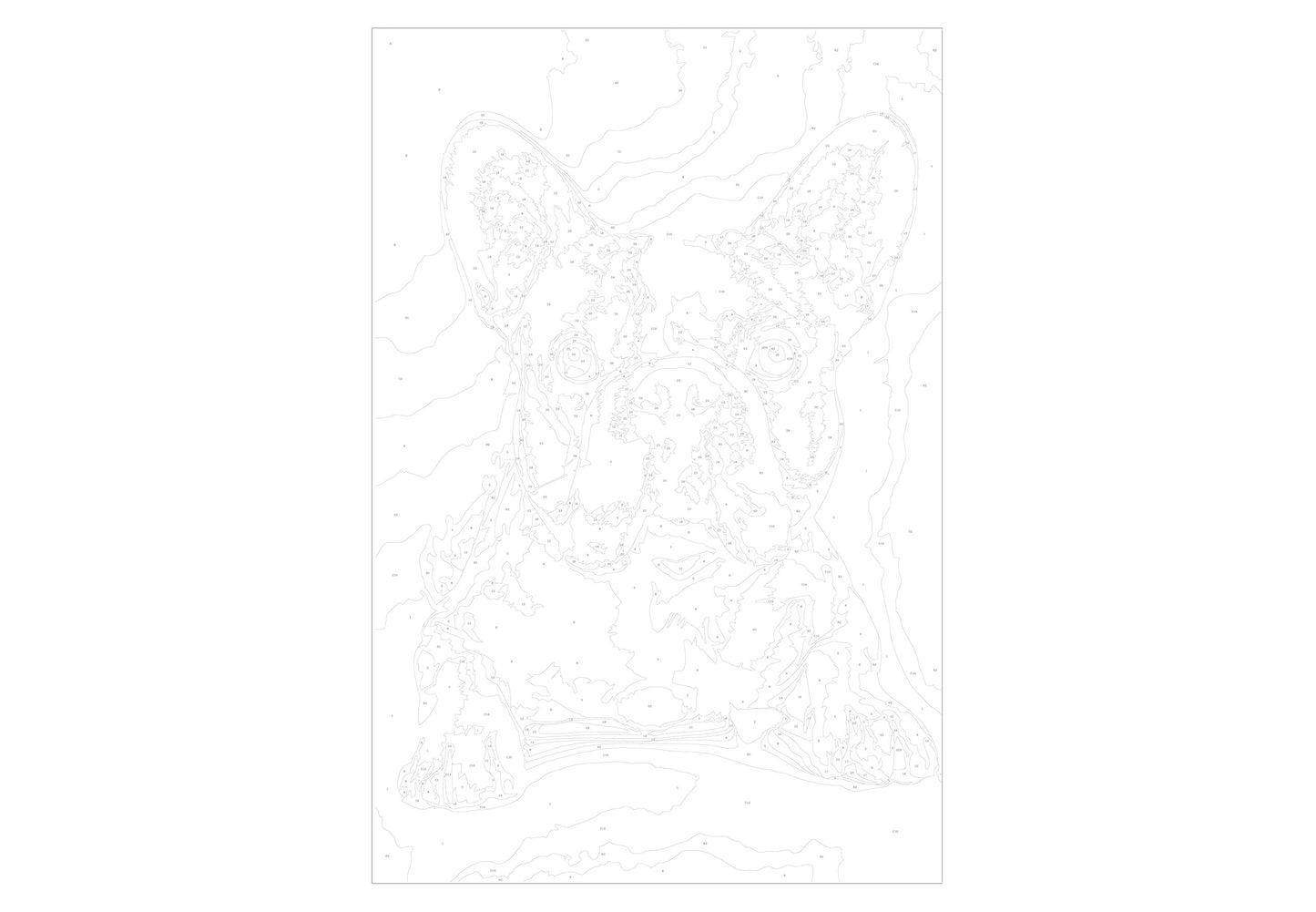 murando - Malen nach Zahlen Hund Bulldog 40x60 cm Malset mit Holzrahmen auf Leinwand für Erwachsene Kinder Gemälde Handgemalt Kit DIY Geschenk Dekoration n-A-0195-d-a