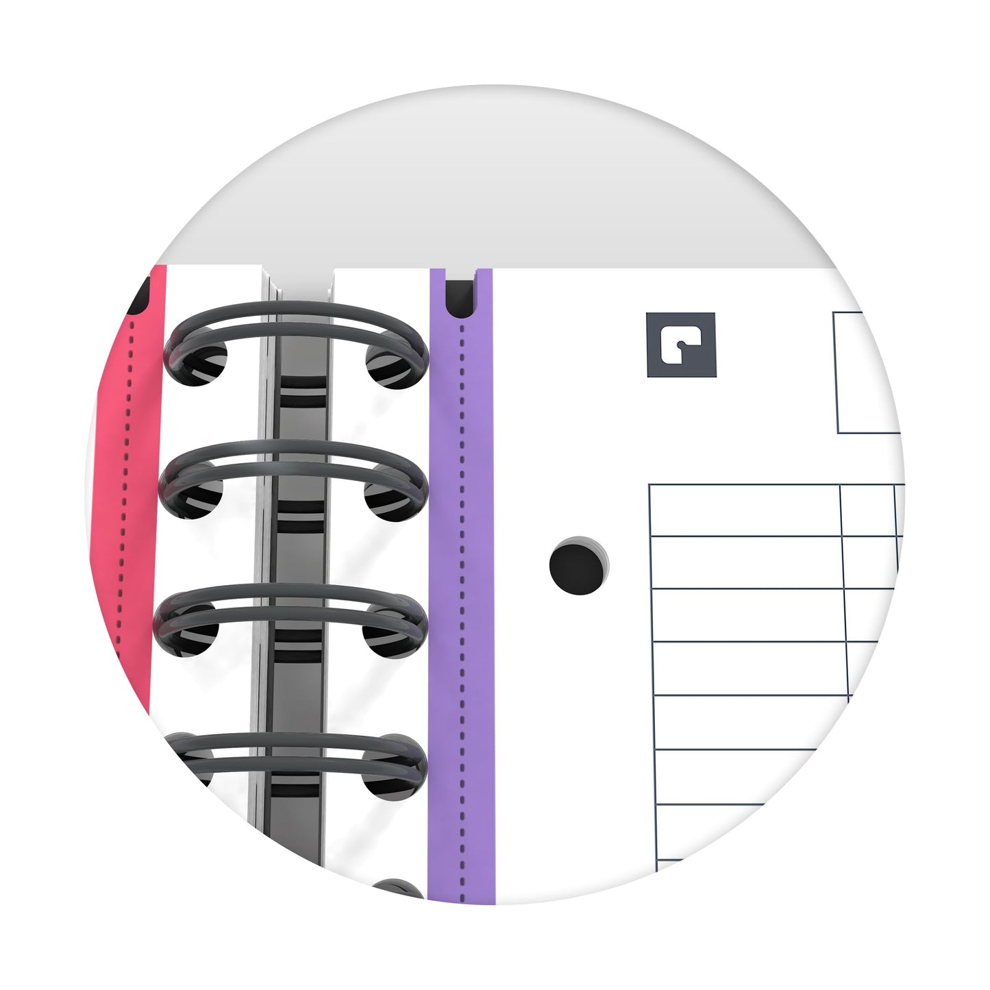 Oxford Collegeblock A5, kariert, 200 Seiten, European Book, 3 Register, 4 Farben, 5 Stück