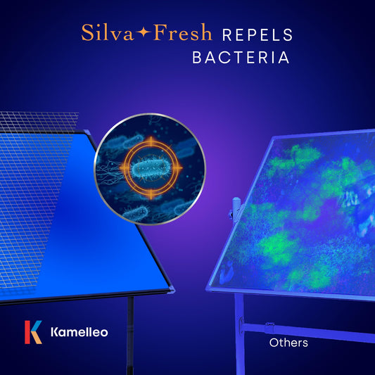 Rollendes magnetisches Whiteboard 60 x 120 cm - großes tragbares Whiteboard mit Ständer - doppelseitiges Whiteboard mit Rädern - mobiles Whiteboard für Büro, Klassenzimmer und Zuhause