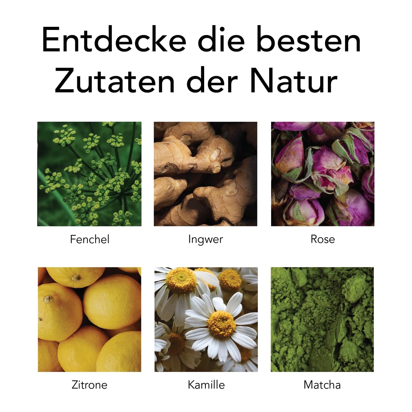 Pukka Tee Geschenkset, Bio Selection Box "Lieblingstee", Manuka Honig, Grüner Tee, Ingwer, Tee Set, Geschenkidee, 9 Tee Varianten, 45 Teebeutel