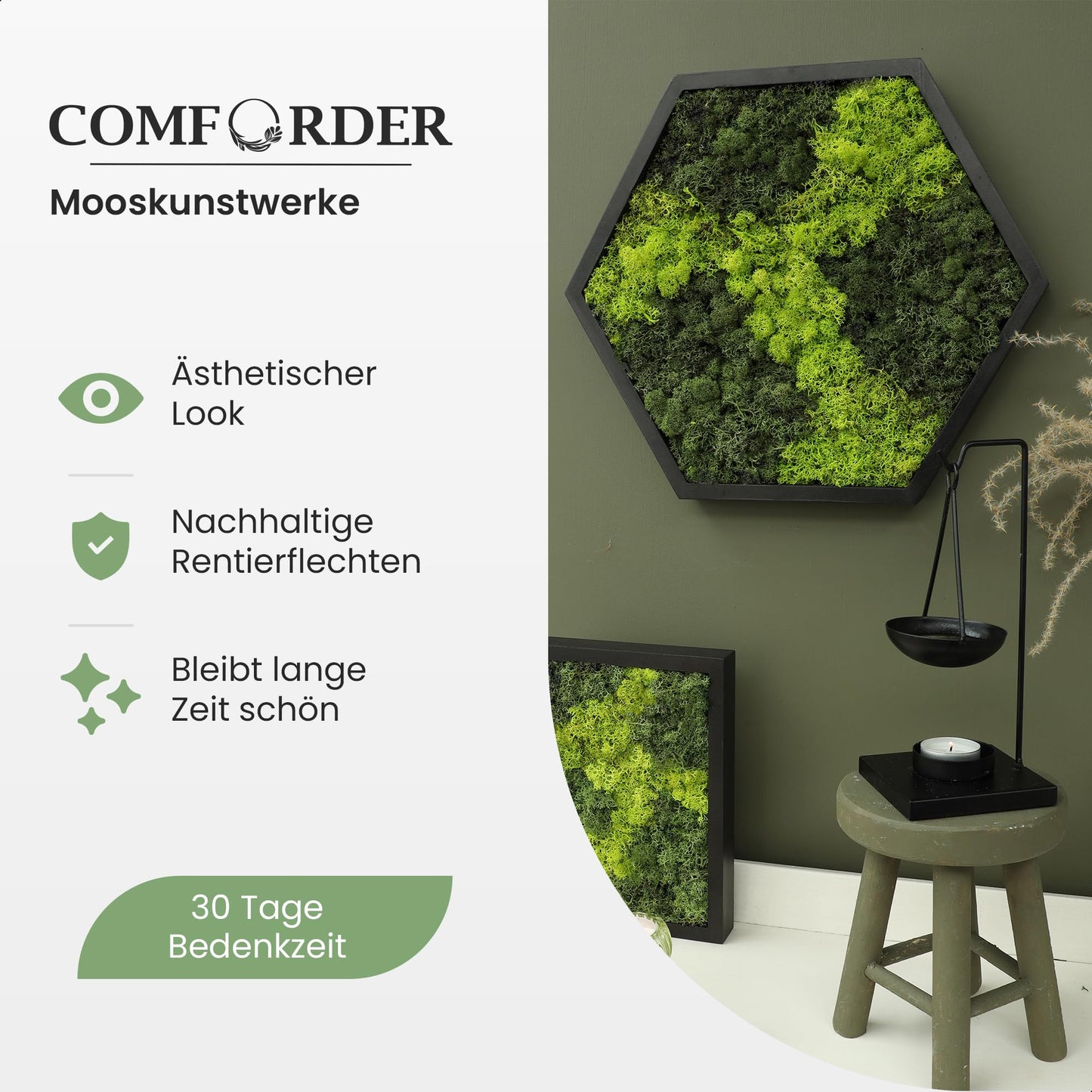 comforder Hexagon Wandbild mit echtem Moos (ø38 cm), Konserviertes Moosbild mit Holzrahmen, Natur Wanddeko fürs Wohnzimmer