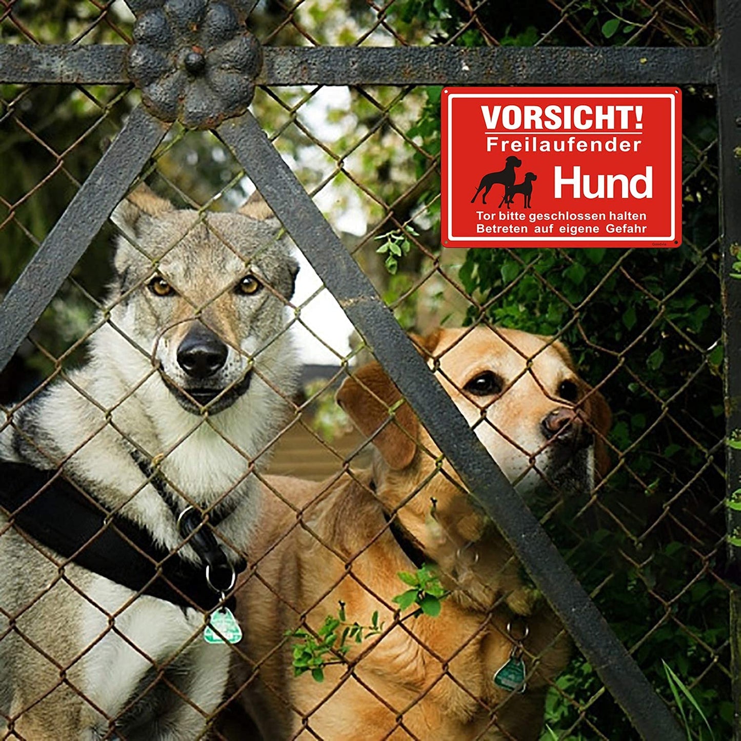 Goodvia Freilaufender Hund Schild Metall 20 * 30cm, Achtung Hunde Schild Vorsicht Freilaufender Hund Aluminium Reflektierendes Schilder Warnung vor Dem Hund, Innen und Außen Anwendbar