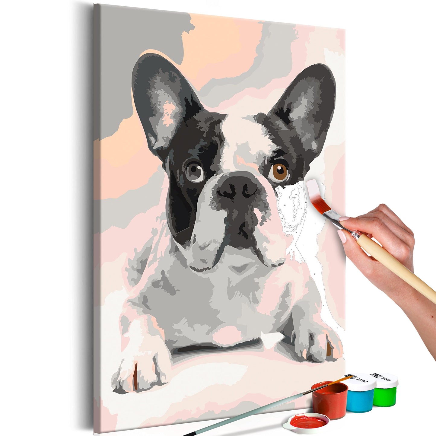 murando - Malen nach Zahlen Hund Bulldog 40x60 cm Malset mit Holzrahmen auf Leinwand für Erwachsene Kinder Gemälde Handgemalt Kit DIY Geschenk Dekoration n-A-0195-d-a