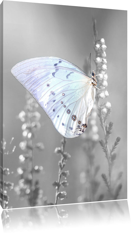Pixxprint Schmetterling auf Blütenknospen, Größe: 60x40cm, Leinwandbild, fertig gespannt, Wandbild, Dekoration, Kunstdruck, kein Poster