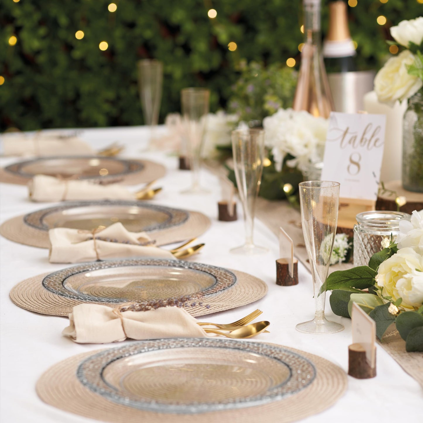 MATANA 20 Premium Transparente Plastikteller mit Silberrand, 26cm - Mehrweg Kunststoffteller, Partyteller Silber für Hochzeiten, Geburtstage, Partys - Elegantes & Stabiles Partygeschirr
