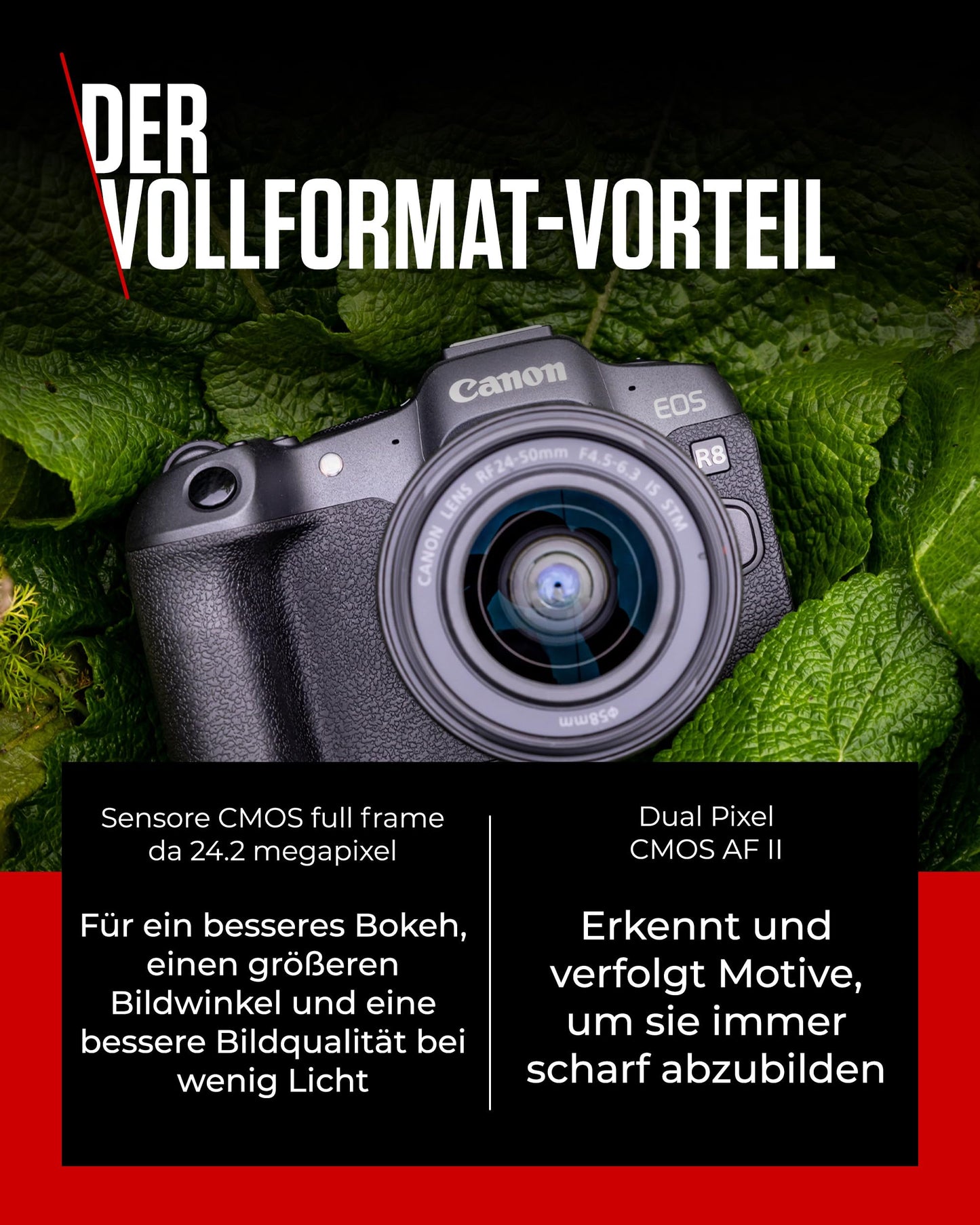 Canon EOS R8 Systemkamera + RF 24-50mm F4.5-6.3 is STM Objektiv - Spiegellose Vollformat Kamera (Digitalkamera mit Autofokus und Motiverkennung für Augen Tiere Fahrzeuge, 4k Videokamera, WiFi)