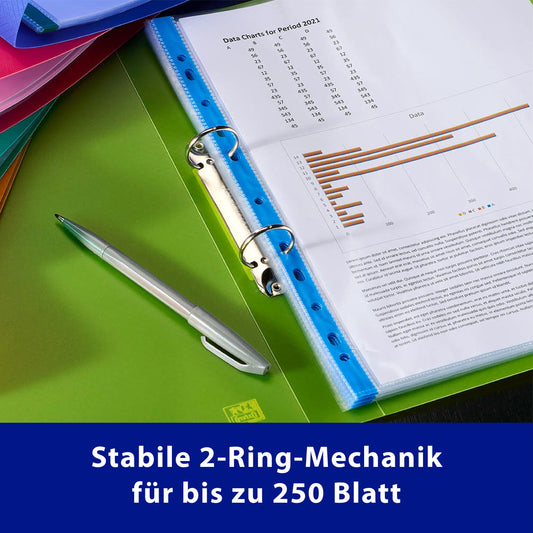 Oxford Ringbuch A4, Rückenbreite 4 cm, 2 Ringe, Kunststoff, 8 Farben, 10 Stück