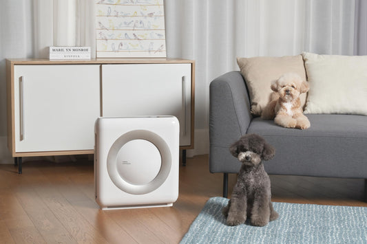 COWAY Luftreiniger Allergiker, Energiesparender ECO-Modus, Entfernt 99,999% der schädlichen Partikel bis zu 0,01 µm, für Allergie (ECARF Siegel) Staub Pollen, CADR 421m³/h, ap-1512hh MIGHTY (Weiß)