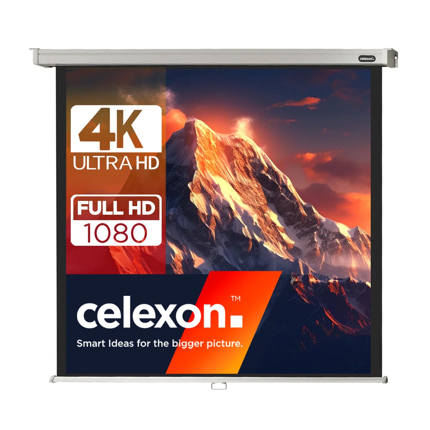 100" Zoll Rollo-Leinwand celexon Professional 1:1 | 180x180 cm weiß | 4K Full HD 3D | ausziehbare Beamer-Leinwand für das Büro oder Heimkino-Projektionen | Decken- & Wand-Montage | wählbare Größen