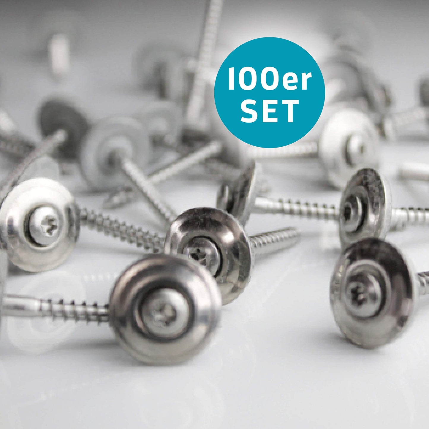 KAISER plastic® Abstandhalter und Schrauben 100 Stk. Set | Befestigungsset für Sinusplatten 76/18 | Made in Germany | für alle Arten von Wellplatten