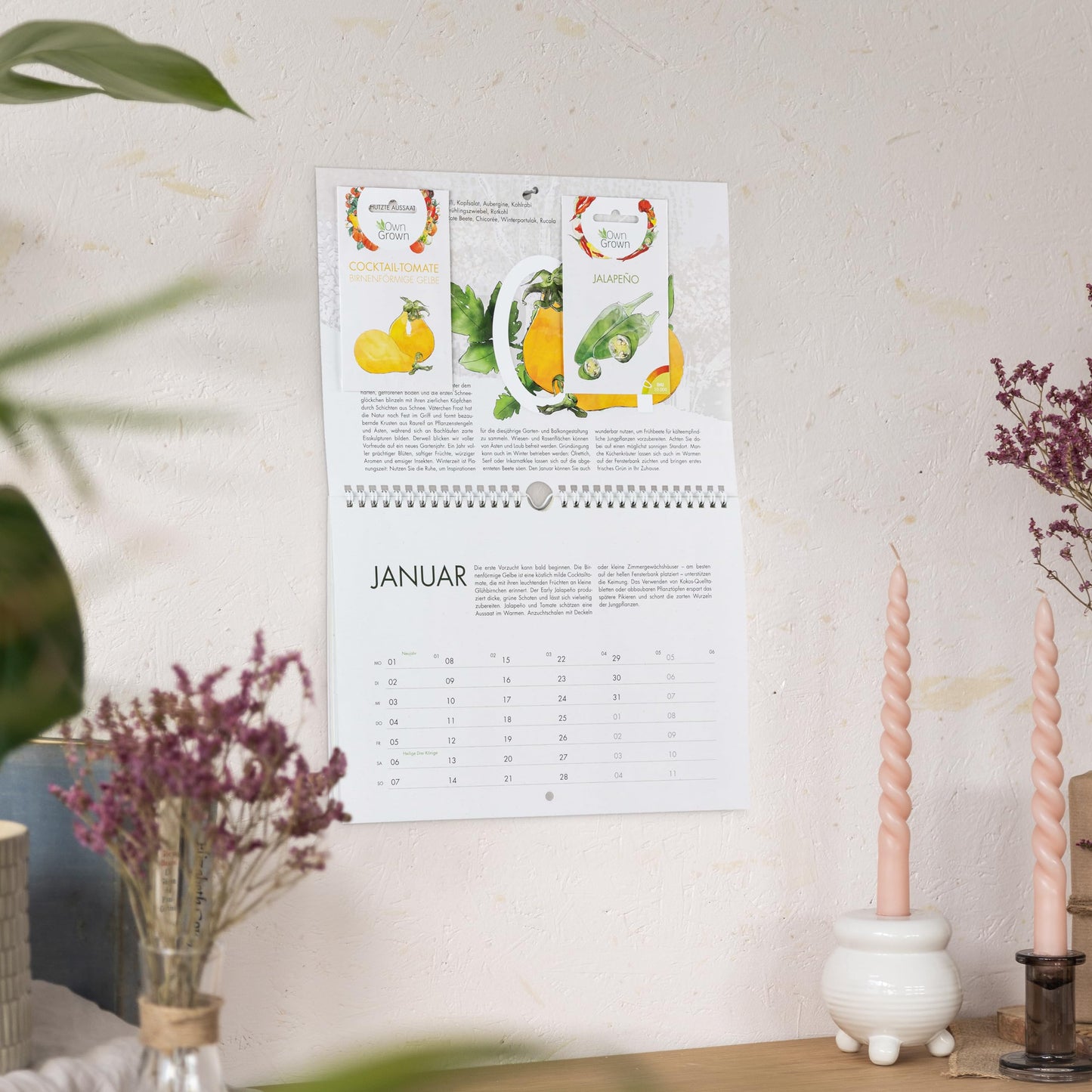 Saatgut Kalender 2025 Wandkalender A4: Garten Wandkalender 2025 – Monatskalender mit 24 Sorten Gemüse Samen, Kräuter, Obst, Blumen – OwnGrown Jahreskalender 2025