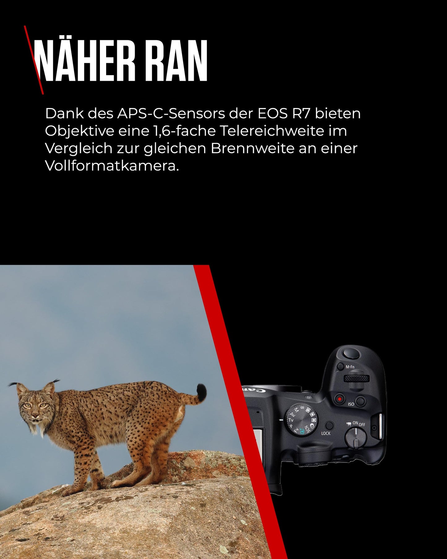 Canon EOS R7 Kamera spiegellose Camera (DSLR Upgrade, Hybridkamera, 4K/30p Videoaufnahmen, bis zu 15 B/s, WLAN, Deep-Learning Dual Pixel CMOS AF II Fokussystem) schwarz
