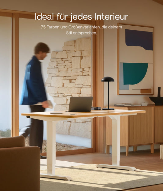 Desktronic Höhenverstellbarer Schreibtisch (160x80cm) - Schreibtisch Höhenverstellbar Elektrisch mit Flüsterleisem Dual-Motor & Touchscreen - Hohe Tragfähigkeit - Stehtisch HomePro