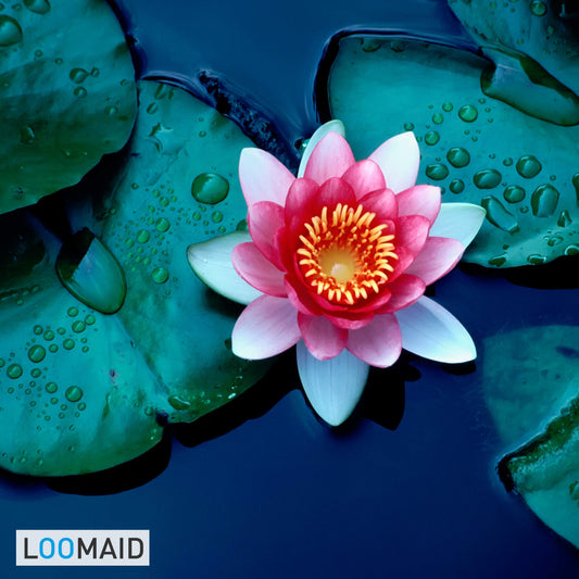 LOOMAID Silikon WC-Bürste mit Lotuseffekt – Made in Germany – Klobürste, Toilettenbürste mit Anti Rutsch Halter (Grau)