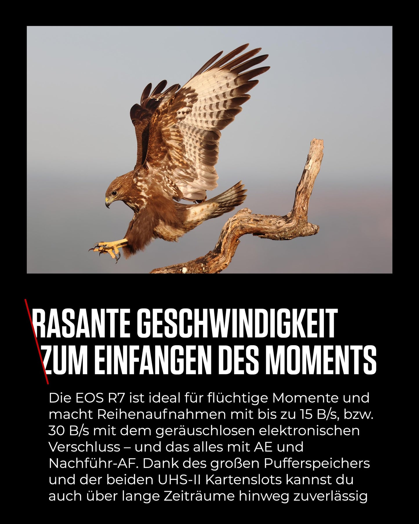 Canon EOS R7 Kamera spiegellose Camera + RF-S 18-150mm F3.5-6.3 is STM Objektiv (DSLR Upgrade, Hybridkamera, 4K/30p Videoaufnahmen, bis zu 15 B/s, WLAN) schwarz