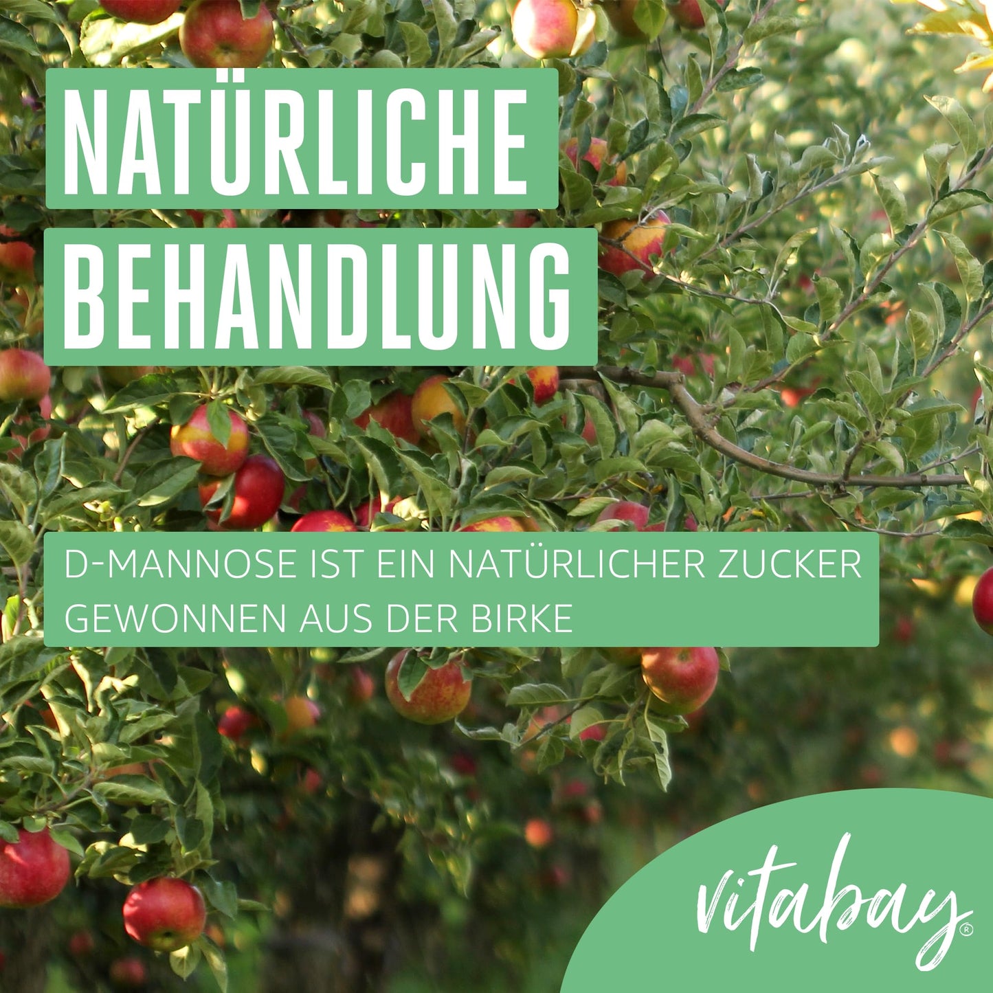 Vitabay D-Mannose Pulver aus Birke 200g - D Mannose Pulver Birke - Vegan, Naturbelassen & Laborgeprüft - 2g D Manose pro Tagesdosis - D Mannose Pulver aus Birke D- Mannose Dmannosse Pulver Mannose D
