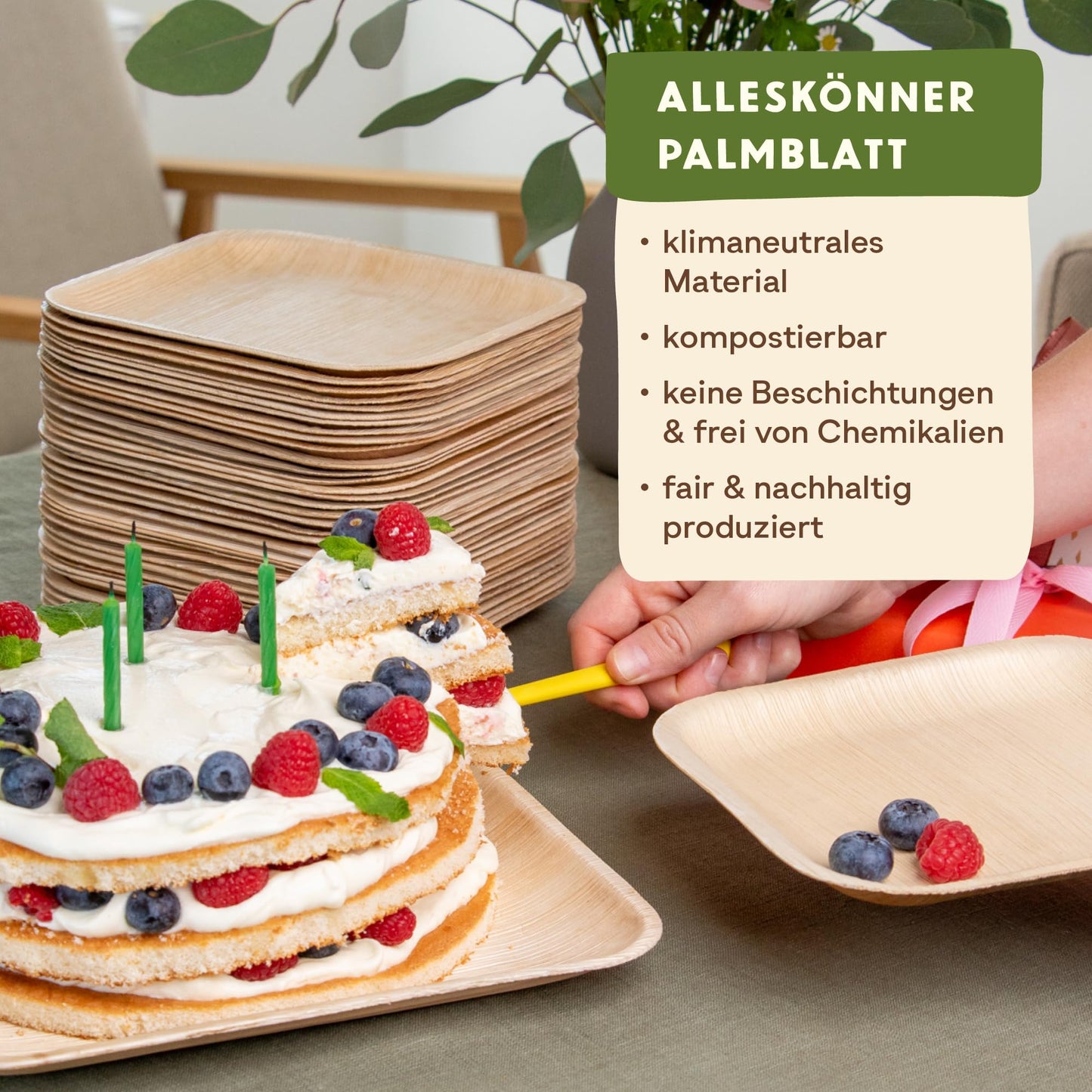 Leef 50x Palmblatt Teller eckig - Einweggeschirr kompostierbar und naturbelassen - 25 x 25 cm