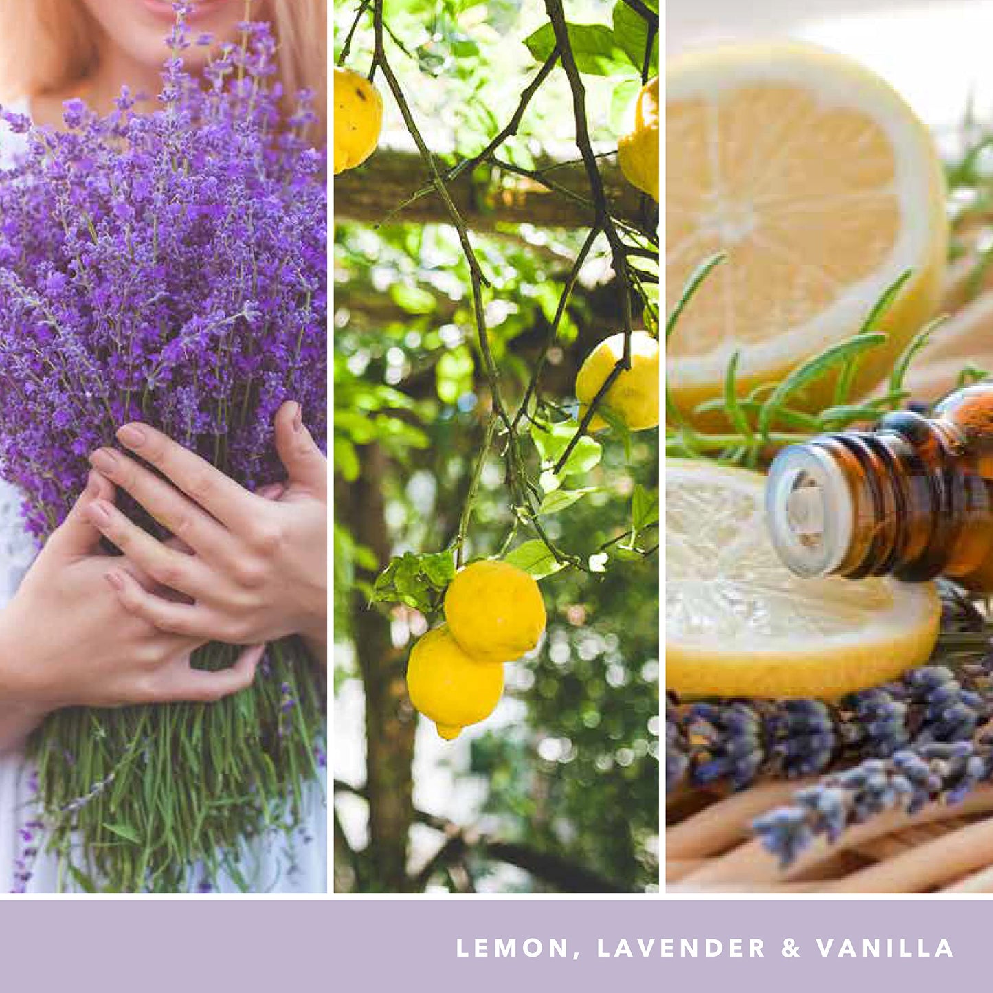 Yankee Candle Duftkerzen-Geschenkset | Votivkerzen mit Lemon Lavender | Soja-Wachs-Mix | 3 Teile