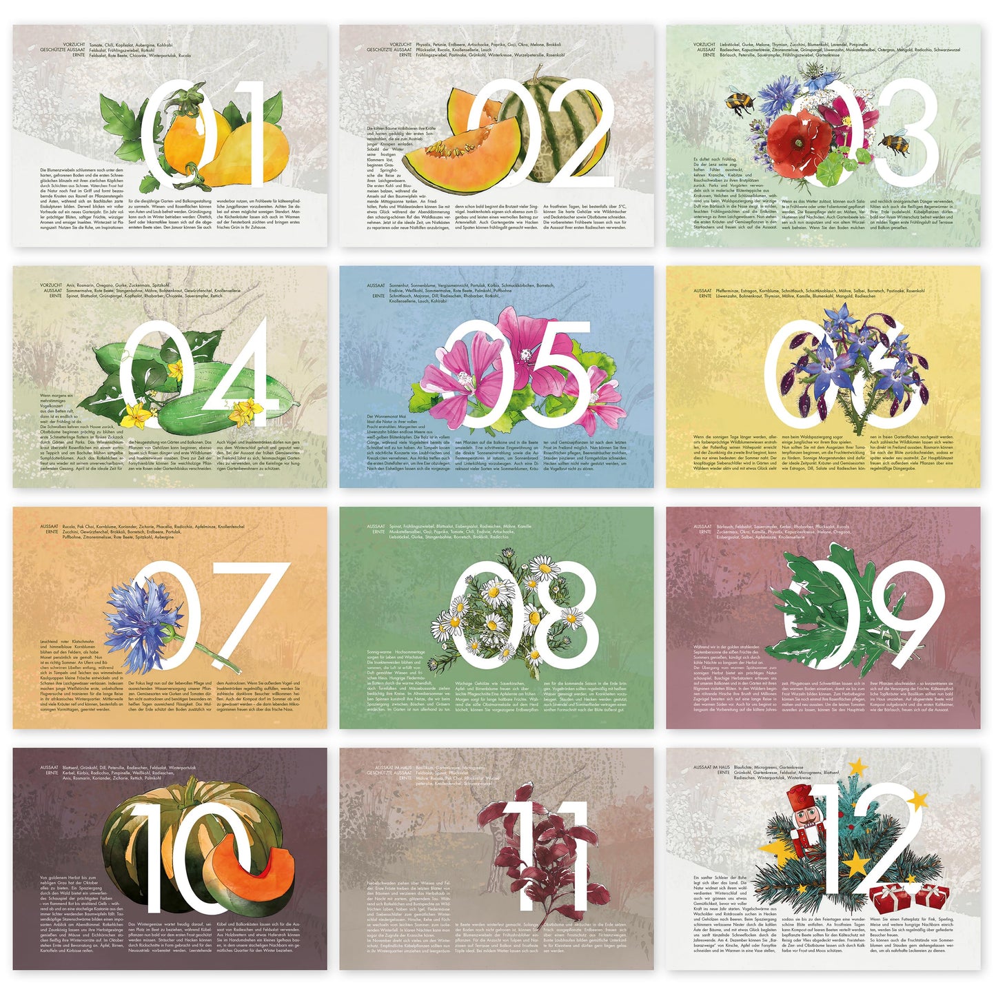 Saatgut Kalender 2025 Wandkalender A4: Garten Wandkalender 2025 – Monatskalender mit 24 Sorten Gemüse Samen, Kräuter, Obst, Blumen – OwnGrown Jahreskalender 2025