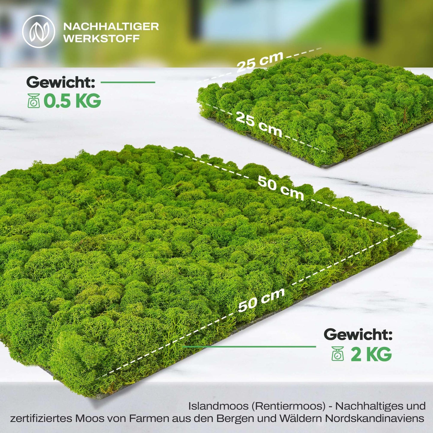 Naturewalls Moospaneele Flex - 50 x 50 (selbstklebend) - Moosbild Islandmoos - Mooswand selber machen - Moosplatte