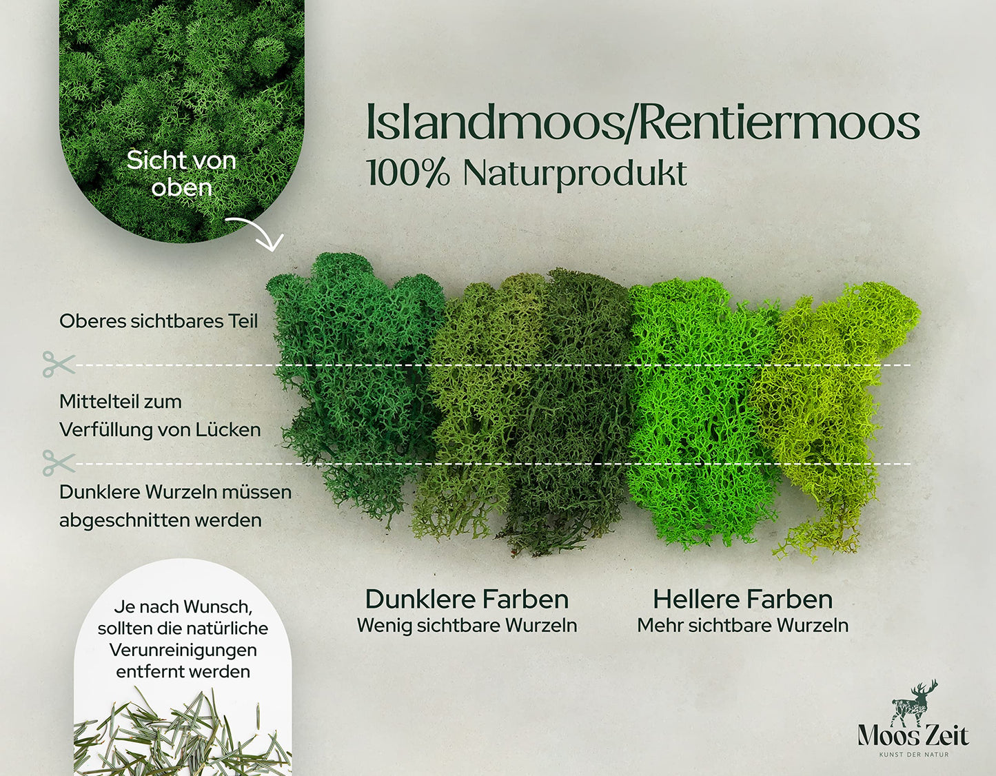 Islandmoos - Moos in 5 versch. Farben/Echtes konserviertes haltbares Natur Moos zum Moosbild basteln/Deko und Modellbau Weihnachtsdeko (Musterbox 150 Gramm)