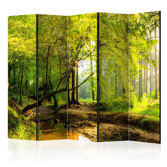 murando - Paravent Raumteiler Innen Natur 225x172 cm einseitig auf Vlies-Leinwand Bedruckt Trennwand Spanische Wand Sichtschutz Raumtrenner Home Office Wald c-B-0354-z-c
